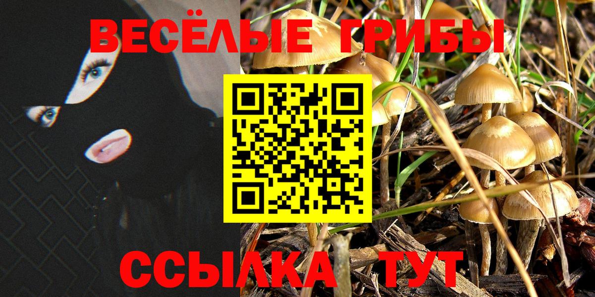 Псилоцибиновые грибы мицелий  Вход с VPN  Псилоцибиновые грибы MAGIC MUSHROOMS  Лесной 