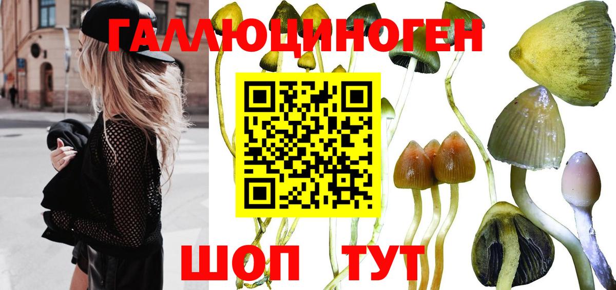 Галлюциногенные грибы мицелий Лесной